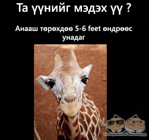 198234_321290874621148_702965922_n