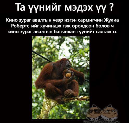 206045_323824111034491_1151443257_n