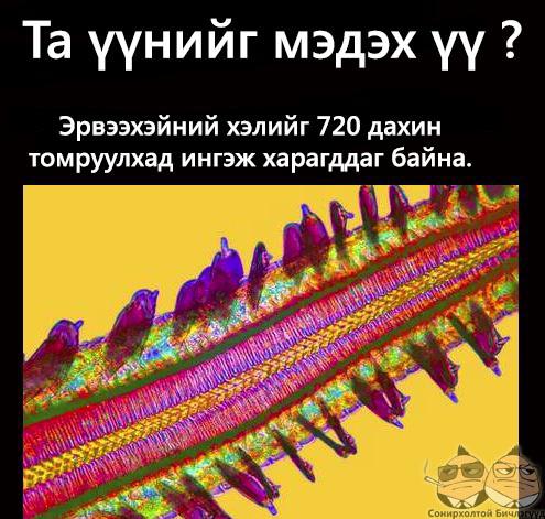 217772_350112978405604_1796799659_n