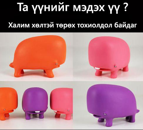 269263_321310681285834_388867509_n