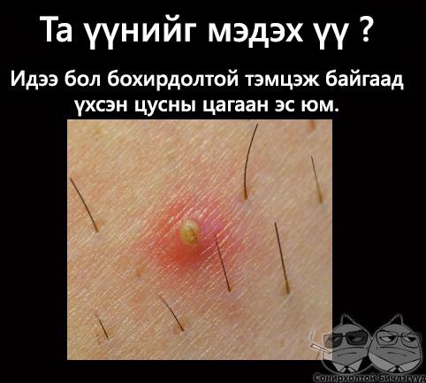 313932_341681379248764_23014406_n