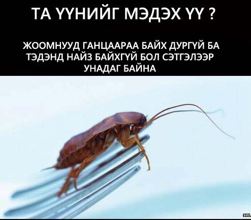 392437_306272979456271_549891094_n