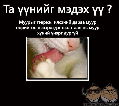 431447_352030018213900_1565918610_n