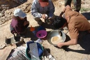 49ib8alon1gte0978ddrbbrf58