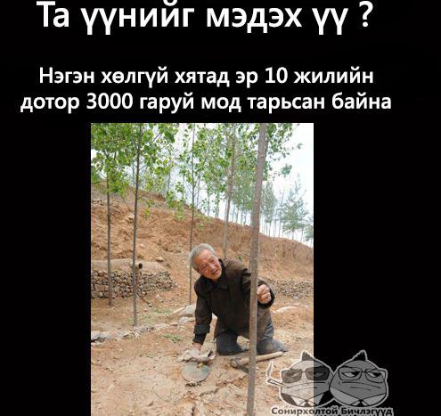 525848_323383377745231_749198881_n