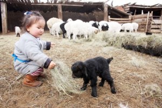 527-1332385902554650_198762640232638_113536965421873_319313_1238623473_n