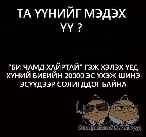 534208_310801125670123_1307727937_n