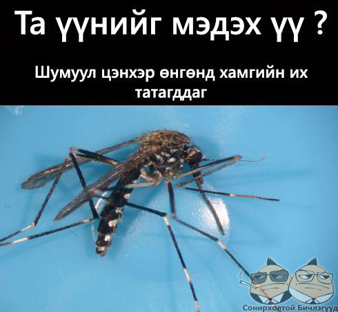 538152_321777131239189_1044302064_n