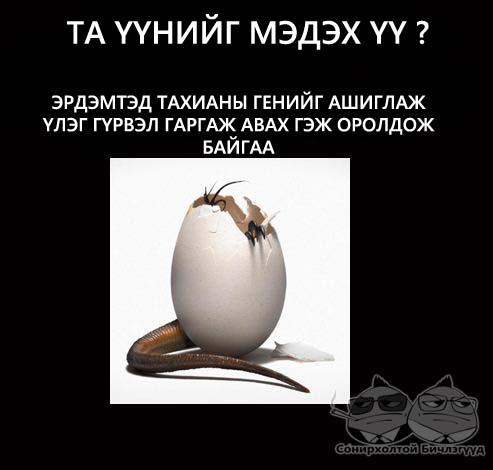 546585_311447575605478_426208633_n