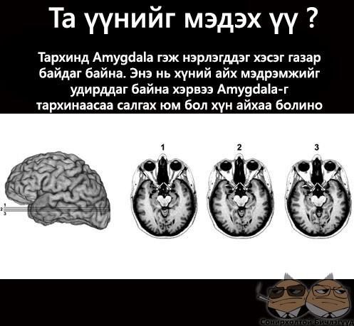 562875_351737674909801_1482934482_n