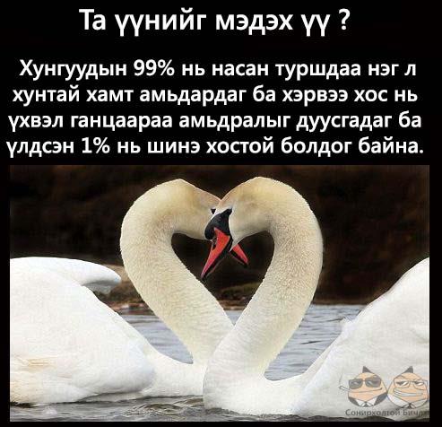 564852_371646882918880_1223970856_n