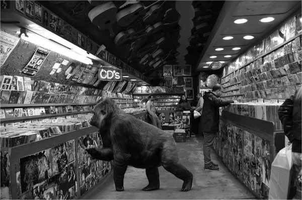 9209_1095431403811241_8434711142051445583_n