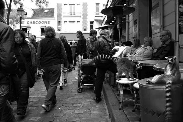 945275_1095431133811268_5775206080670528646_n