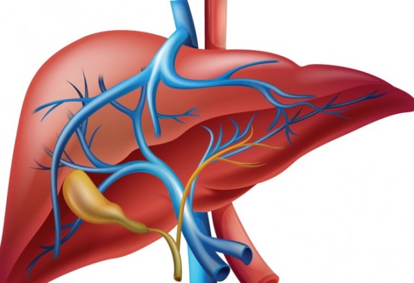 b2087384-661e-4a07-a1f9-a2b0af3d7257