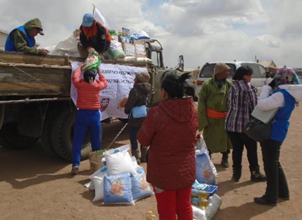 \"123518570dornogobi\"