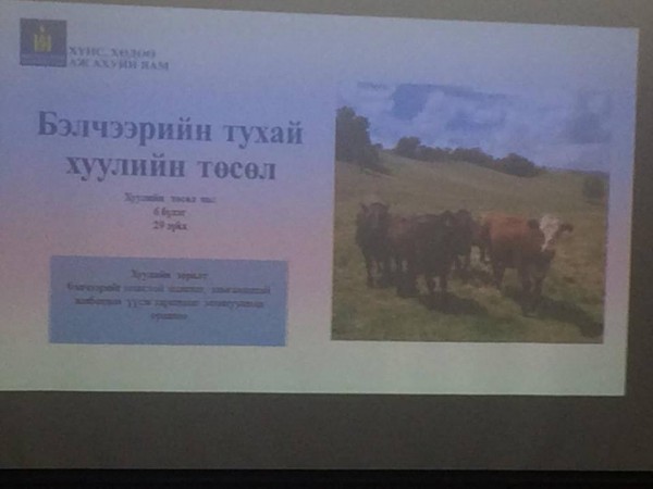 12900154_1173009142718714_1499406120_n