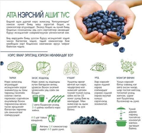 13010784_1554510884848677_2049597156608514271_n