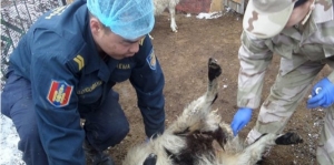 1991275571eefc6bf8b501