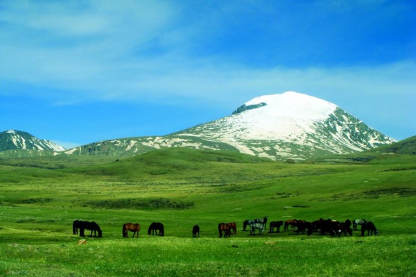 39dj01p6nhepcve8thv7kr0rit