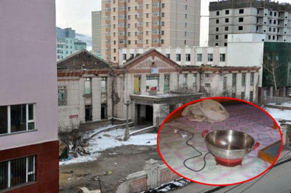 588686d0131d94aboriginal