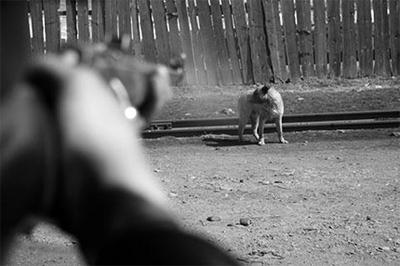 667206db8d65d113great