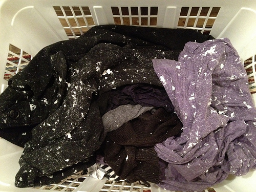 8015474770_92241ffb46