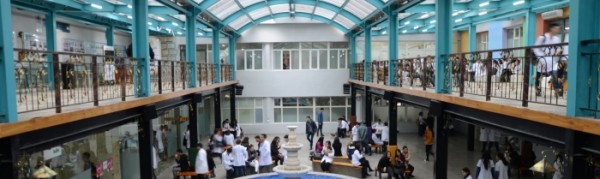 8748517570880c40b3b511 (1)