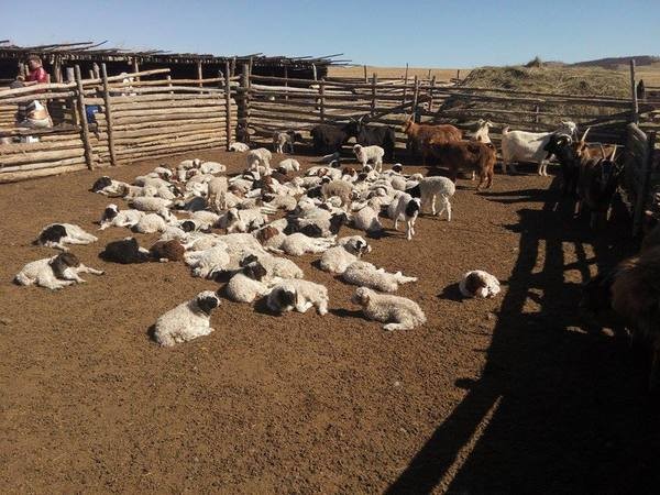 \"content_11117443_806230856092657_700736016_n\"