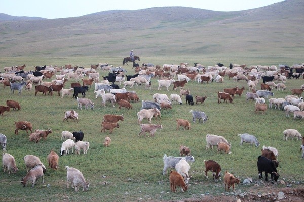 \"content_img_0759\"