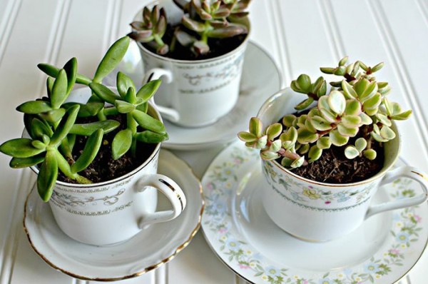 cool-craft-ideas-diy-cardmaking-ideas-old-kitchen-stuff-coffee-cups-flower-pot-1