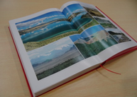 \"dbf06b0d-5da7-4bf9-a4f2-2c354c8af565\"