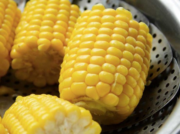 ebfev5p53i2sep5oa6sc2enug