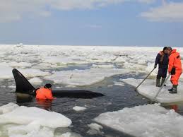 f84849da-9d0a-4630-8d66-8a3b1cedf30a