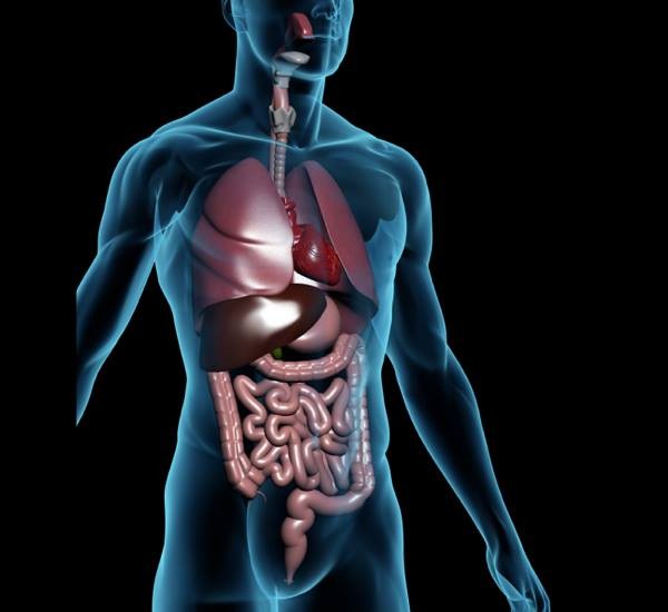 094a491c92c610adbfc65540062779f6