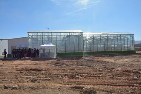 13083309_1285045661522811_6923071691762884532_n