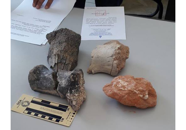 13233204_853818944745926_2138923795_n_-_Copy