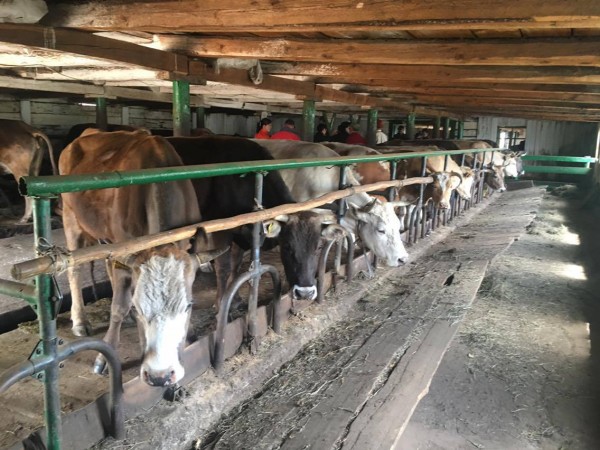 \"13275348_1091575724249915_1220466143_o