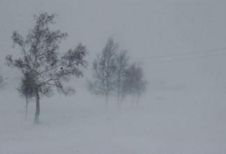 1462506109572c127dc9ef3