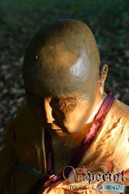 146311661757356349e220e