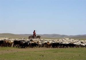 1464584059_6cccb1fb758aecc525e98784880f54083cba161f