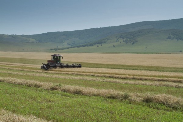 -31082015-1441001968-2112460523-tarialan