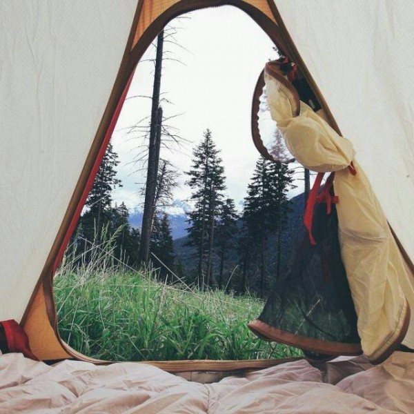 1466561386_13435539_636903906467534_2158064001562827499_n