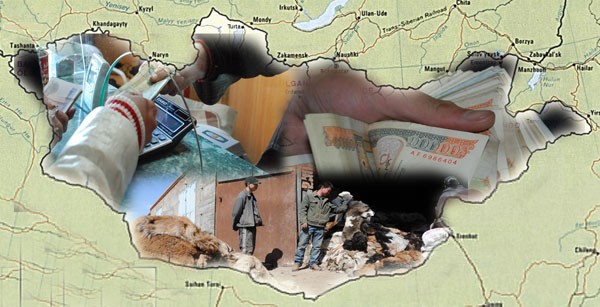 6ce781ad51b7ccd5original