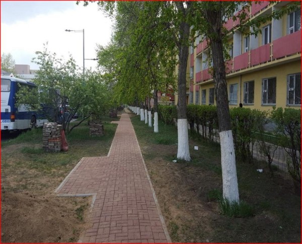 \"p1alo574pq6itndj8k7174m8592\"