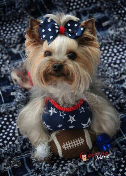 13445286_1065082826895879_9151548021665919285_n