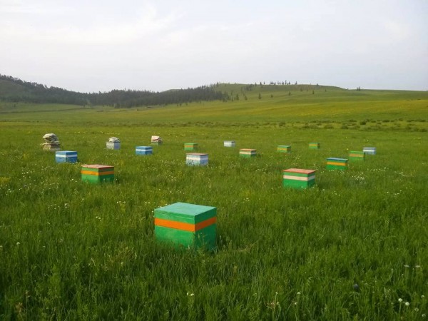 13664324_1140139966045464_9896217_n