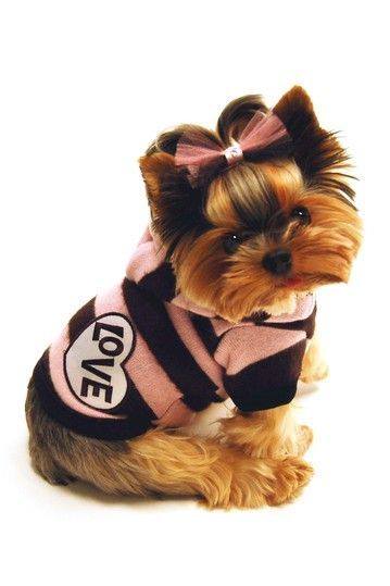 13709773_1093338207403674_1937814877936002054_n