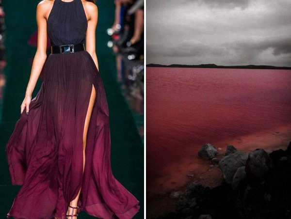 13718718_1017855661669160_3663978068509441931_n