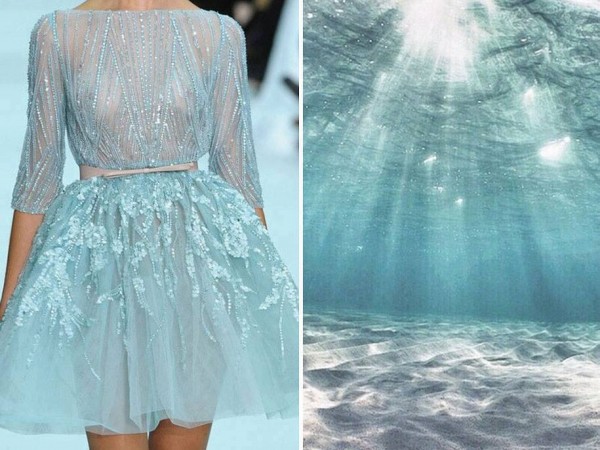 13729005_1017855708335822_7037652247678945634_n