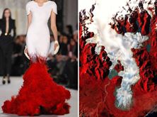 13754356_1017855581669168_6343064805889050868_n